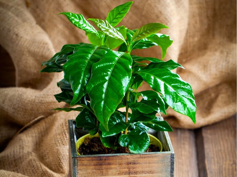 3f6a9dc914221f18ab9d9d04667fc59e